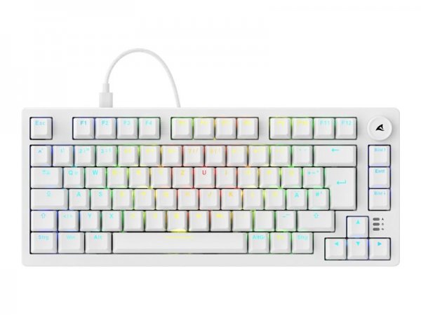 Sharkoon Gaming Tastatur Skiller Sgk25 weiß DE - Tastiera - QWERTZ