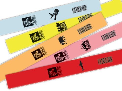 Zebra Z-Band Fun Wristband